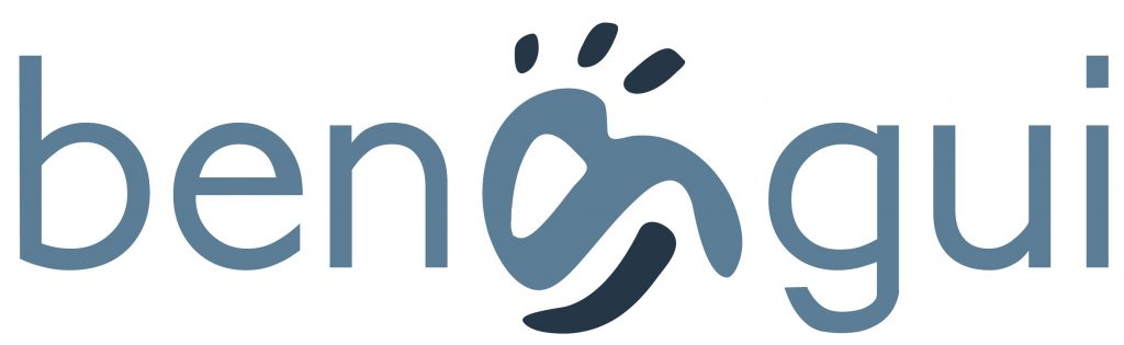 logo bengui