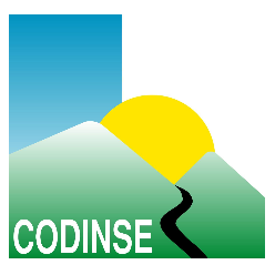 logo codinse